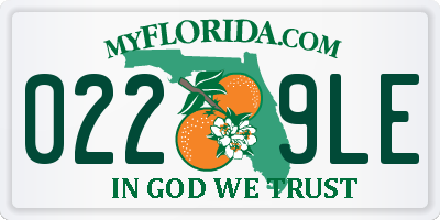 FL license plate 0229LE