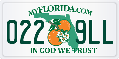 FL license plate 0229LL
