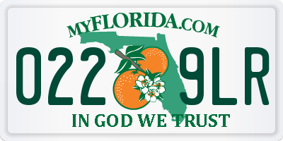 FL license plate 0229LR