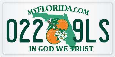 FL license plate 0229LS