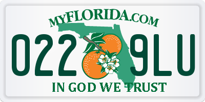 FL license plate 0229LU