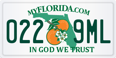 FL license plate 0229ML