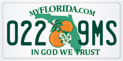 FL license plate 0229MS