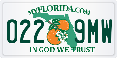 FL license plate 0229MW