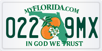 FL license plate 0229MX