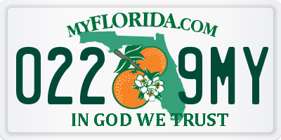 FL license plate 0229MY