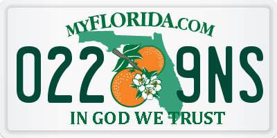 FL license plate 0229NS