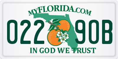 FL license plate 0229OB
