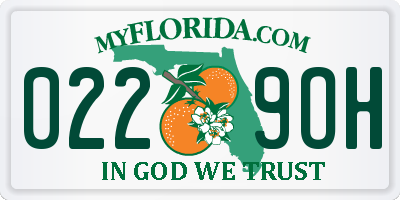FL license plate 0229OH