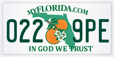 FL license plate 0229PE