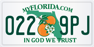 FL license plate 0229PJ