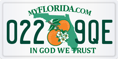 FL license plate 0229QE