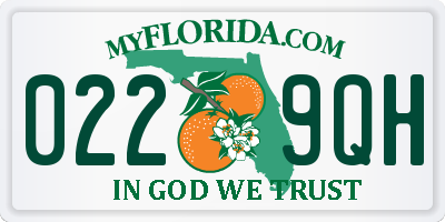 FL license plate 0229QH