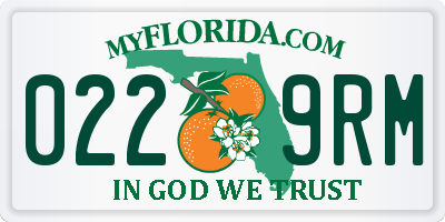 FL license plate 0229RM