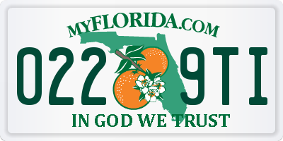 FL license plate 0229TI