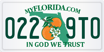 FL license plate 0229TO
