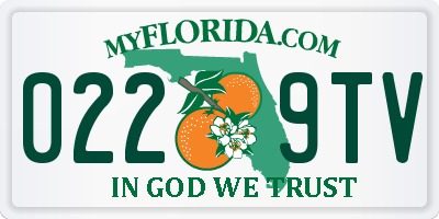 FL license plate 0229TV