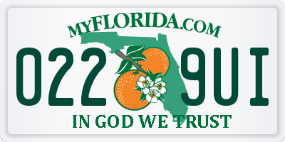 FL license plate 0229UI