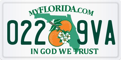 FL license plate 0229VA