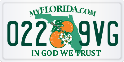FL license plate 0229VG
