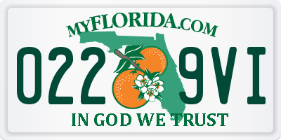 FL license plate 0229VI