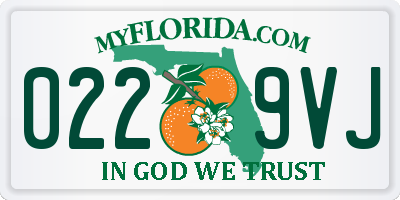 FL license plate 0229VJ