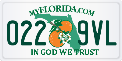 FL license plate 0229VL