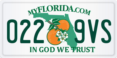FL license plate 0229VS