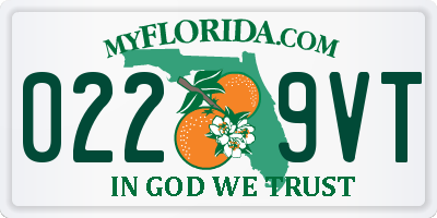 FL license plate 0229VT