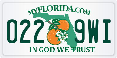 FL license plate 0229WI