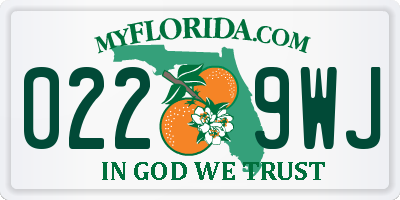 FL license plate 0229WJ