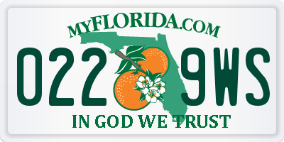FL license plate 0229WS