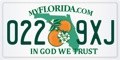 FL license plate 0229XJ