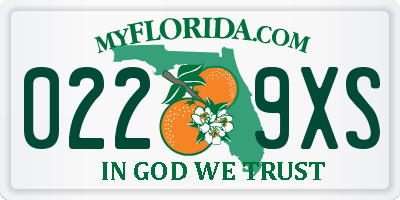 FL license plate 0229XS