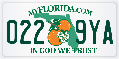 FL license plate 0229YA