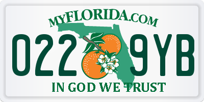 FL license plate 0229YB