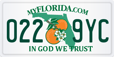 FL license plate 0229YC