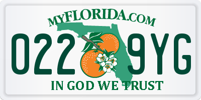 FL license plate 0229YG
