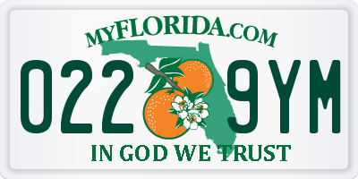 FL license plate 0229YM