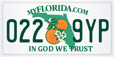 FL license plate 0229YP