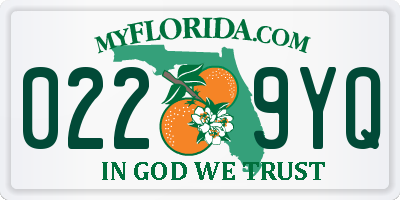 FL license plate 0229YQ