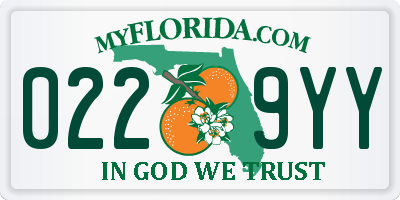 FL license plate 0229YY