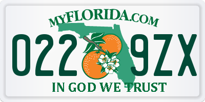 FL license plate 0229ZX