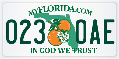 FL license plate 0230AE