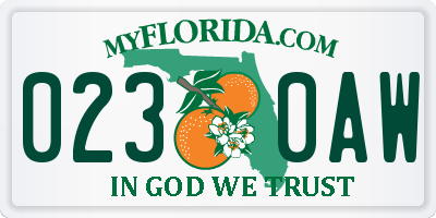 FL license plate 0230AW