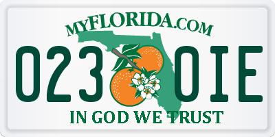 FL license plate 0230IE