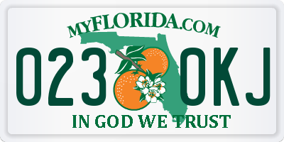 FL license plate 0230KJ
