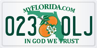 FL license plate 0230LJ