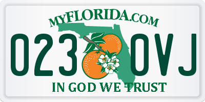 FL license plate 0230VJ