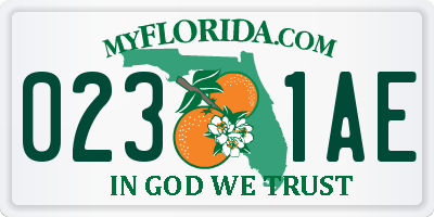 FL license plate 0231AE
